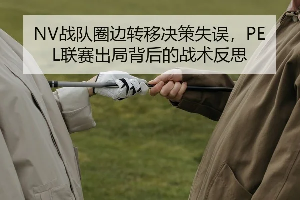 NV战队圈边转移决策失误，PEL联赛出局背后的战术反思